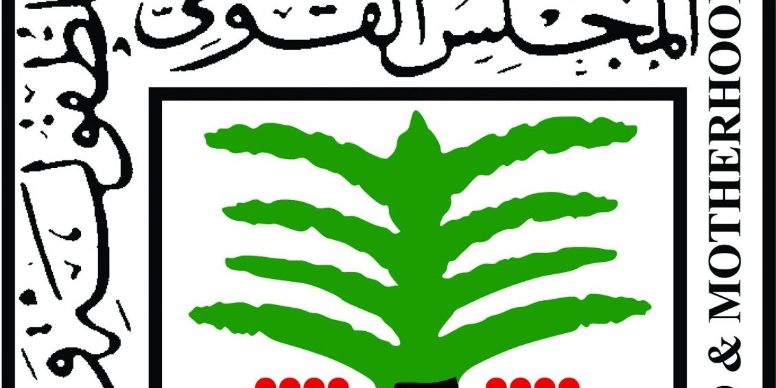 "الطفولة والأمومة" يكشف عن حصاد عام 2024