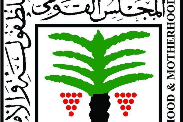 "الطفولة والأمومة" يكشف عن حصاد عام 2024
